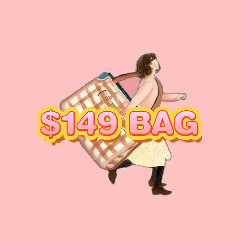 $149 Gem Large Pouch-Designed bag
